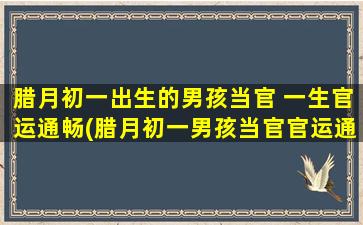 腊月初一出生的男孩当官 一生官运通畅(腊月初一男孩当官官运通畅)